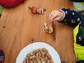 Das Projekt "Gartenzwerge" vom Verband der Gartenfreunde gestaltete für unsere Kinder ein Angebot zum Thema Vögel im Winter.