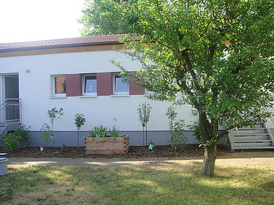 Nasch- und Beerengarten