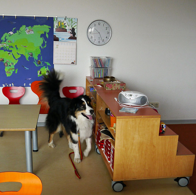 Hund Elvis